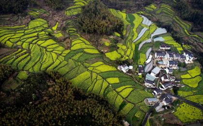 中國社會科學院包曉斌：以綠色發展推動農業現代化